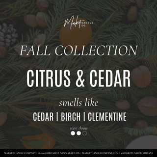 CITRUS & CEDAR SOY CANDLE: 8 oz Single Wick