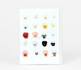 Emily Winfield Martin A Taxonomy of Pansies Greeting Card - Pretty by Her- handmade locally in Cambridge, Ontario