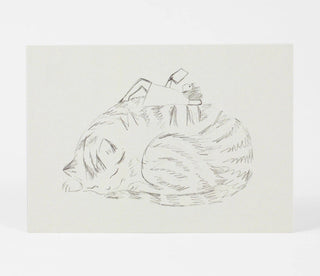 Emily Winfield Martin Girls & Cats Postcard Set - Pretty by Her- handmade locally in Cambridge, Ontario