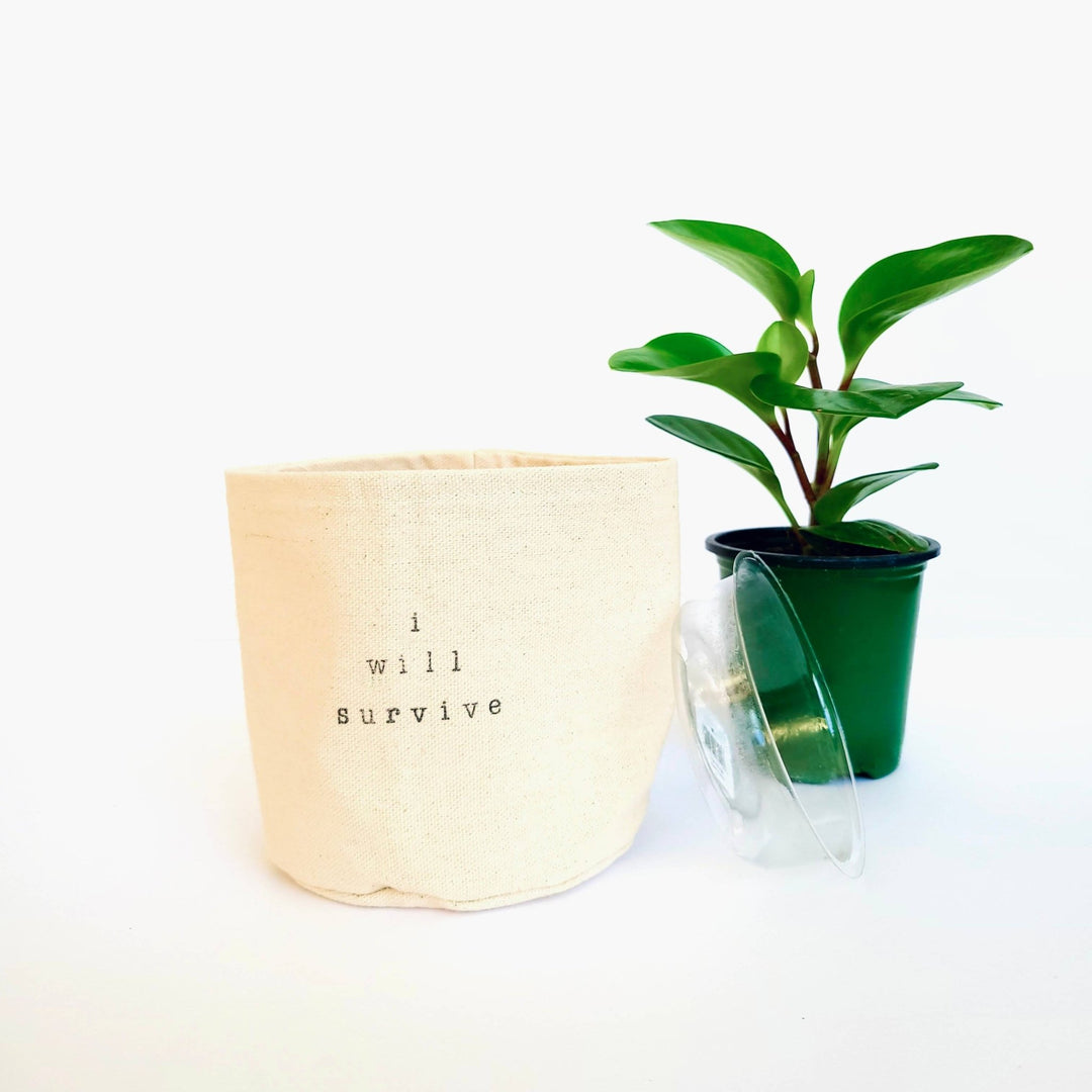 Home is where mom is Canvas Plant Pot Cover: 4" / Uncuffed - Pretty by Her - handmade locally in Cambridge, Ontario