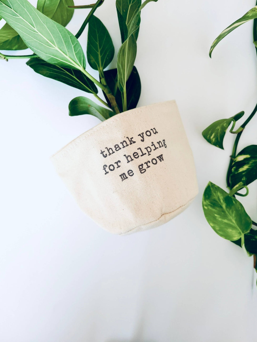 Thank you for helping me grow Canvas Plant Pot Cover: 4" / Uncuffed - Pretty by Her - handmade locally in Cambridge, Ontario