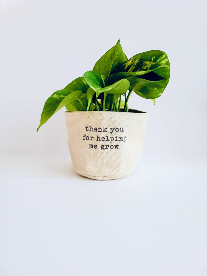 Thank you for helping me grow Canvas Plant Pot Cover: 4" / Uncuffed - Pretty by Her - handmade locally in Cambridge, Ontario