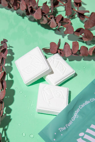 Woodland Essential Oil Shower Steamers - Pretty by Her- handmade locally in Cambridge, Ontario