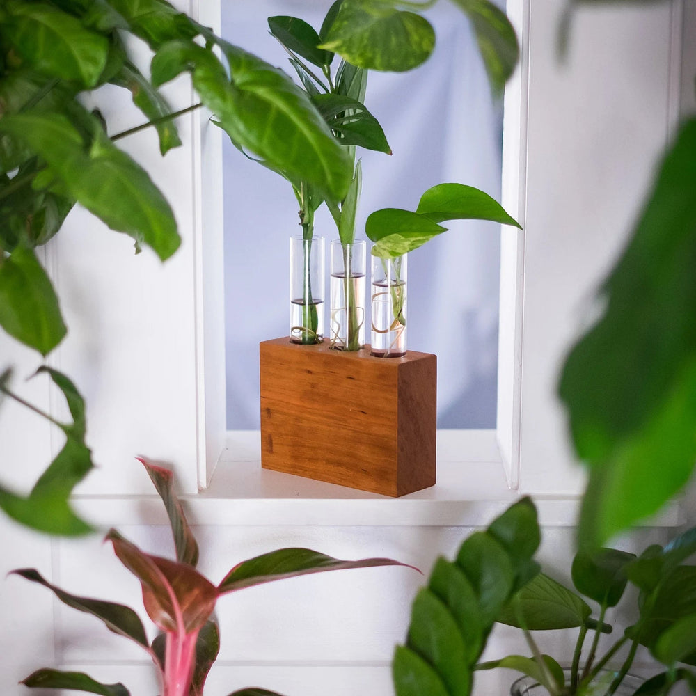 3 Tube Propagation Station | Kelly Built Woodwork - Pretty by Her- handmade locally in Cambridge, Ontario