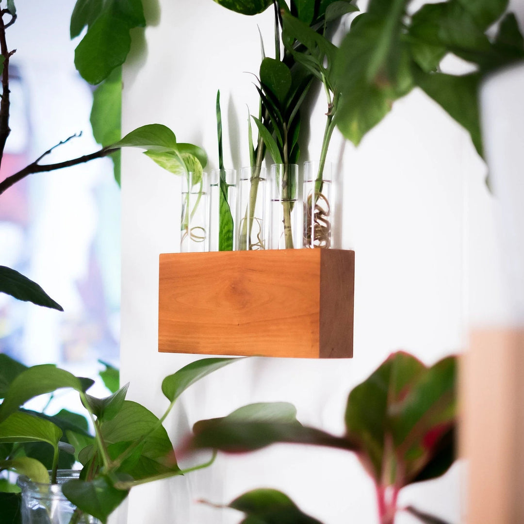5 Tube Propagation Station | Kelly Built Woodwork - Pretty by Her- handmade locally in Cambridge, Ontario