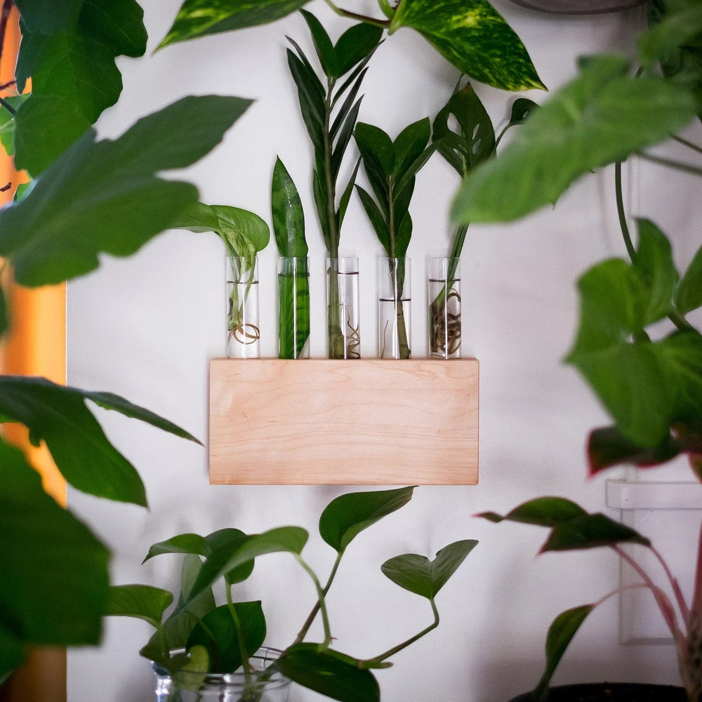 5 Tube Propagation Station | Kelly Built Woodwork - Pretty by Her- handmade locally in Cambridge, Ontario