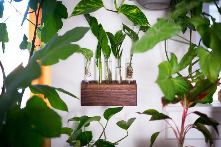 5 Tube Propagation Station | Kelly Built Woodwork - Pretty by Her- handmade locally in Cambridge, Ontario