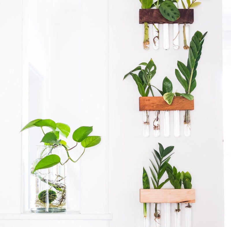 Open Bottom Propagation Station | Kelly Built Woodwork - Pretty by Her- handmade locally in Cambridge, Ontario