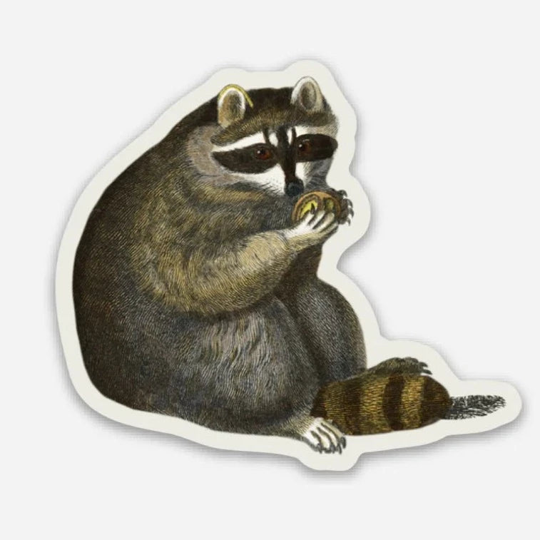 Racoon Gap Filler Sticker | Stay Home Club - Pretty by Her- handmade locally in Cambridge, Ontario