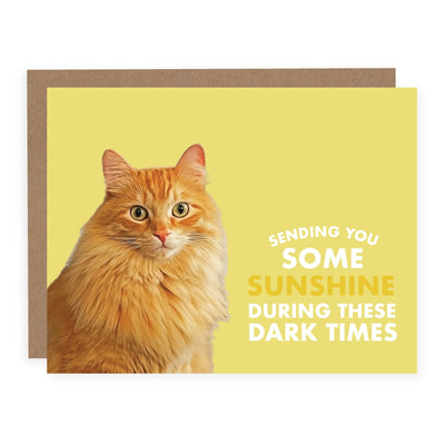 Sending You Some Sunshine | Card - Pretty by Her- handmade locally in Cambridge, Ontario