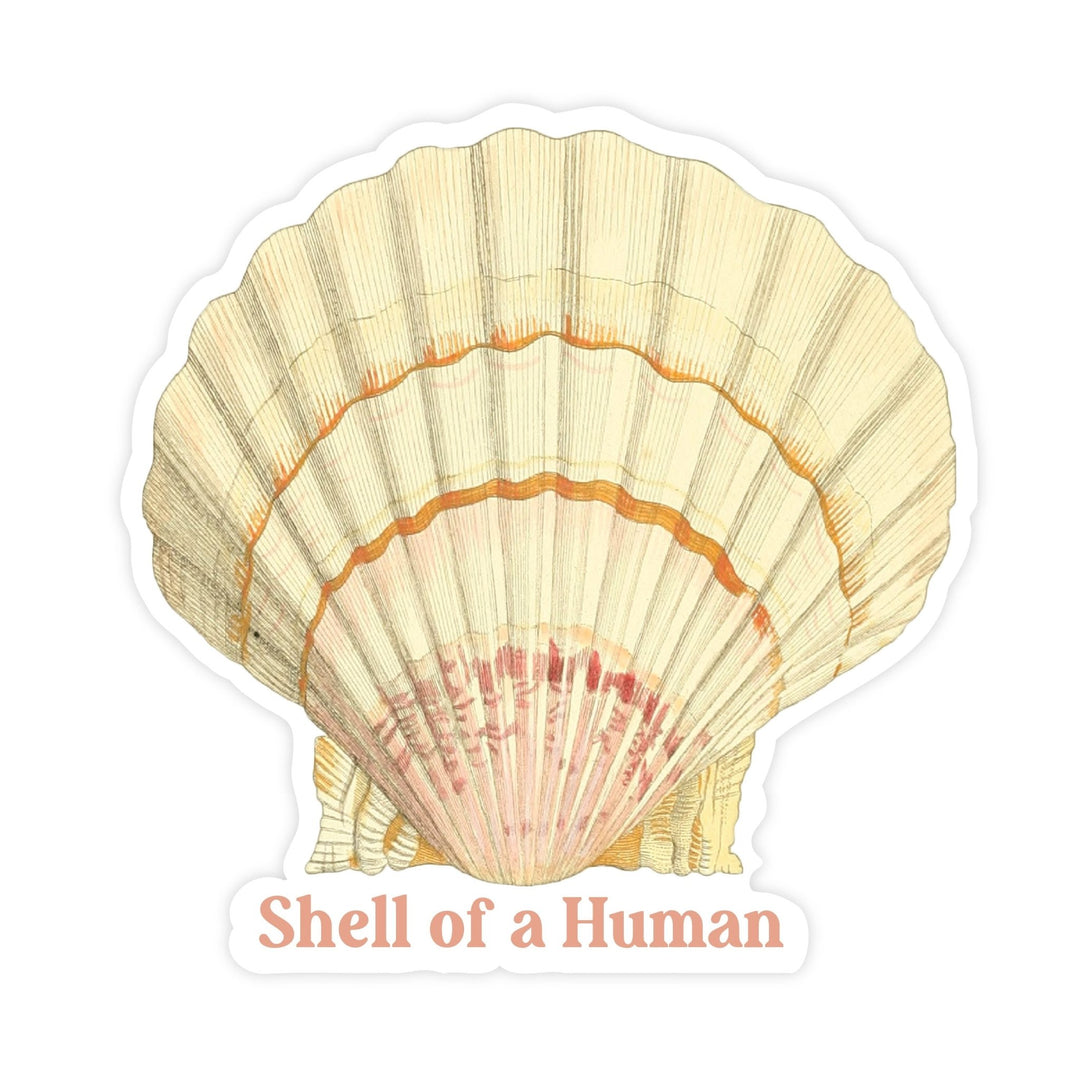 Shell of a Human | Magnet - Pretty by Her- handmade locally in Cambridge, Ontario