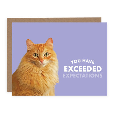 You Have Exceeded Expectations | Card - Pretty by Her- handmade locally in Cambridge, Ontario