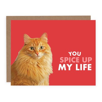 You Spice Up My Life | Card - Pretty by Her- handmade locally in Cambridge, Ontario